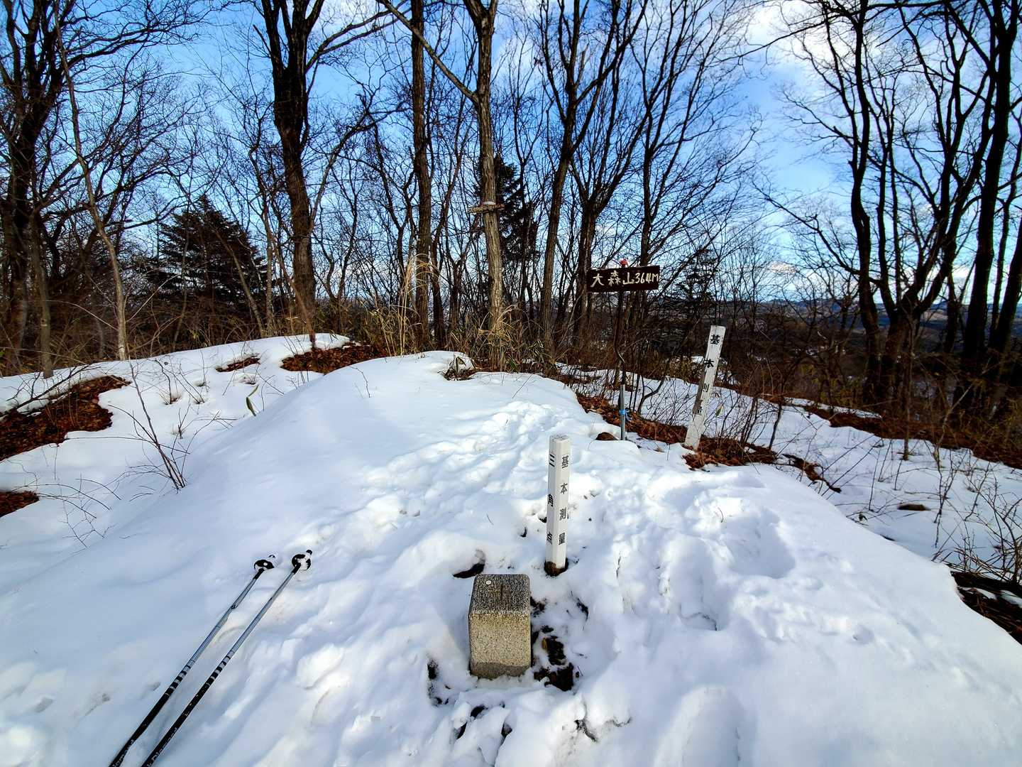 大森山(๑° ꒳ °๑)
無事5座とゴロ山歩ききったー⸜( ' ᵕ ' )⸝