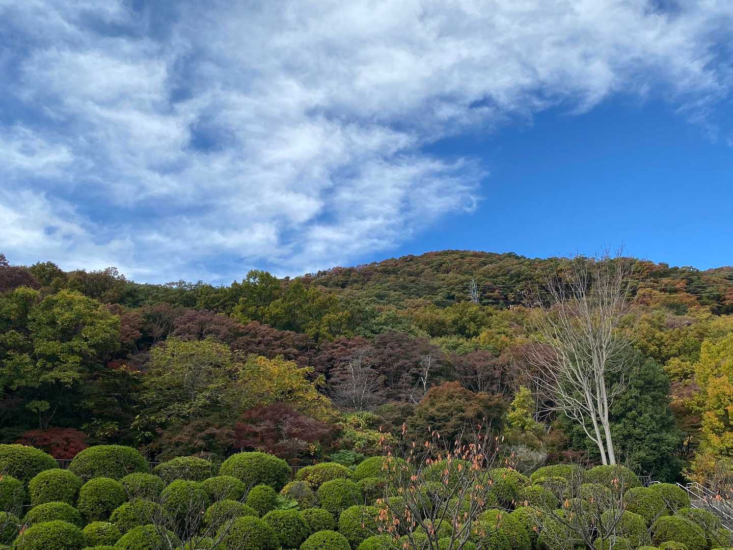 目指すお山かな？