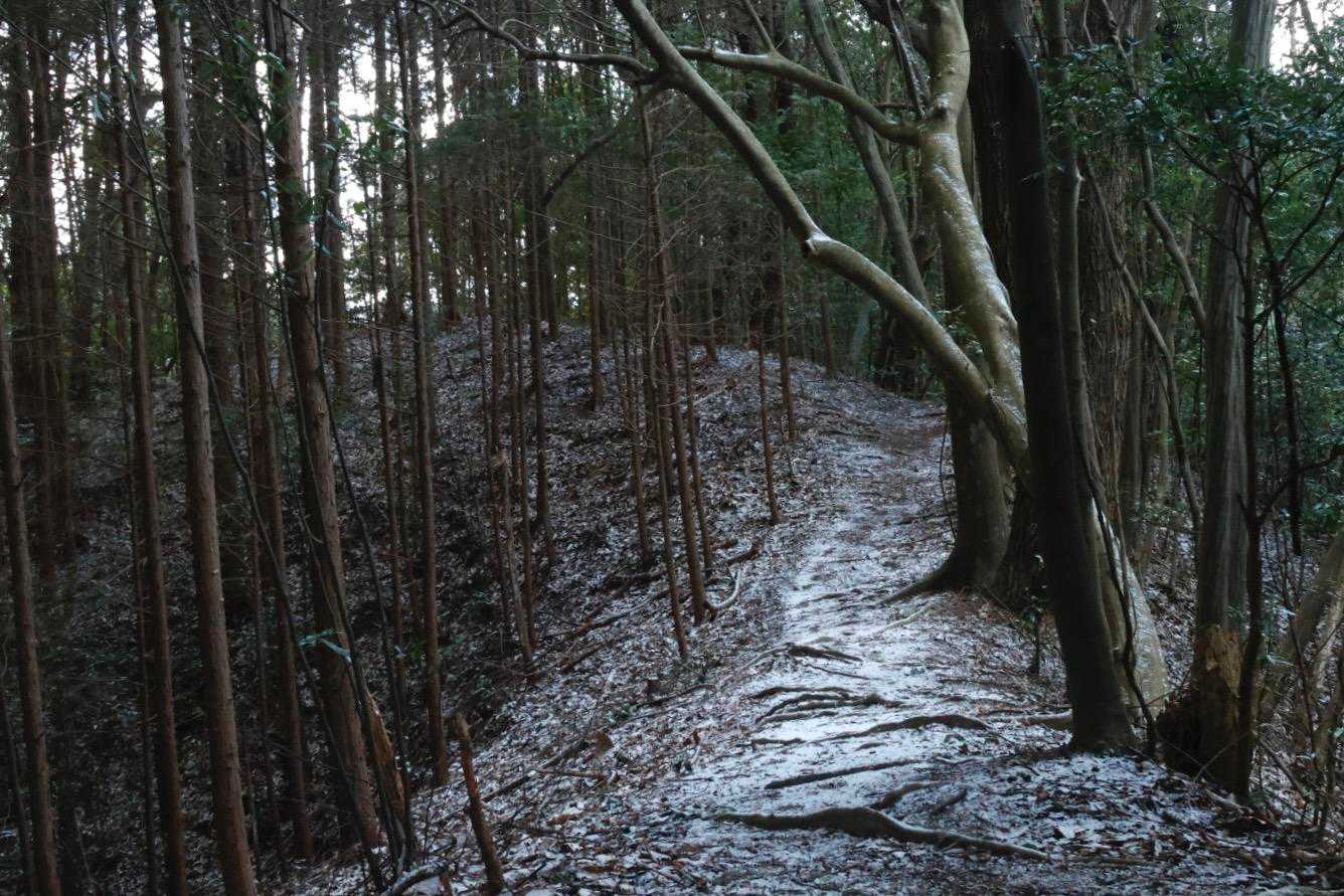 近岡上バス停-黍生 往復コースの写真