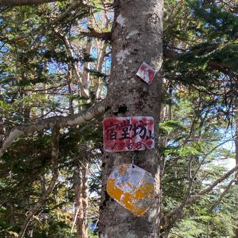 帰りに撮りました😅
