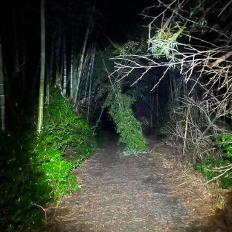 朝日の滝から古墳の路へ