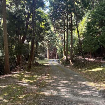 間違えて参道を降りて来た。
遠廻りだけど戻るの面倒なのでこのまま下る。