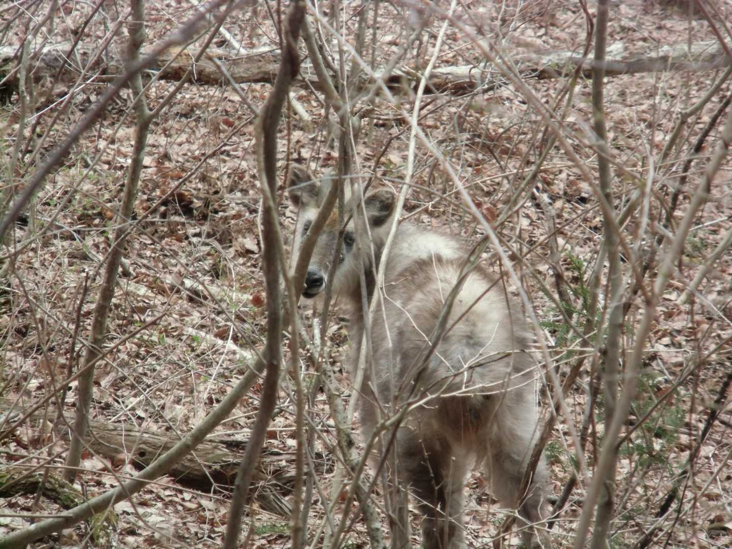 ジーっとまだ見つめられてます