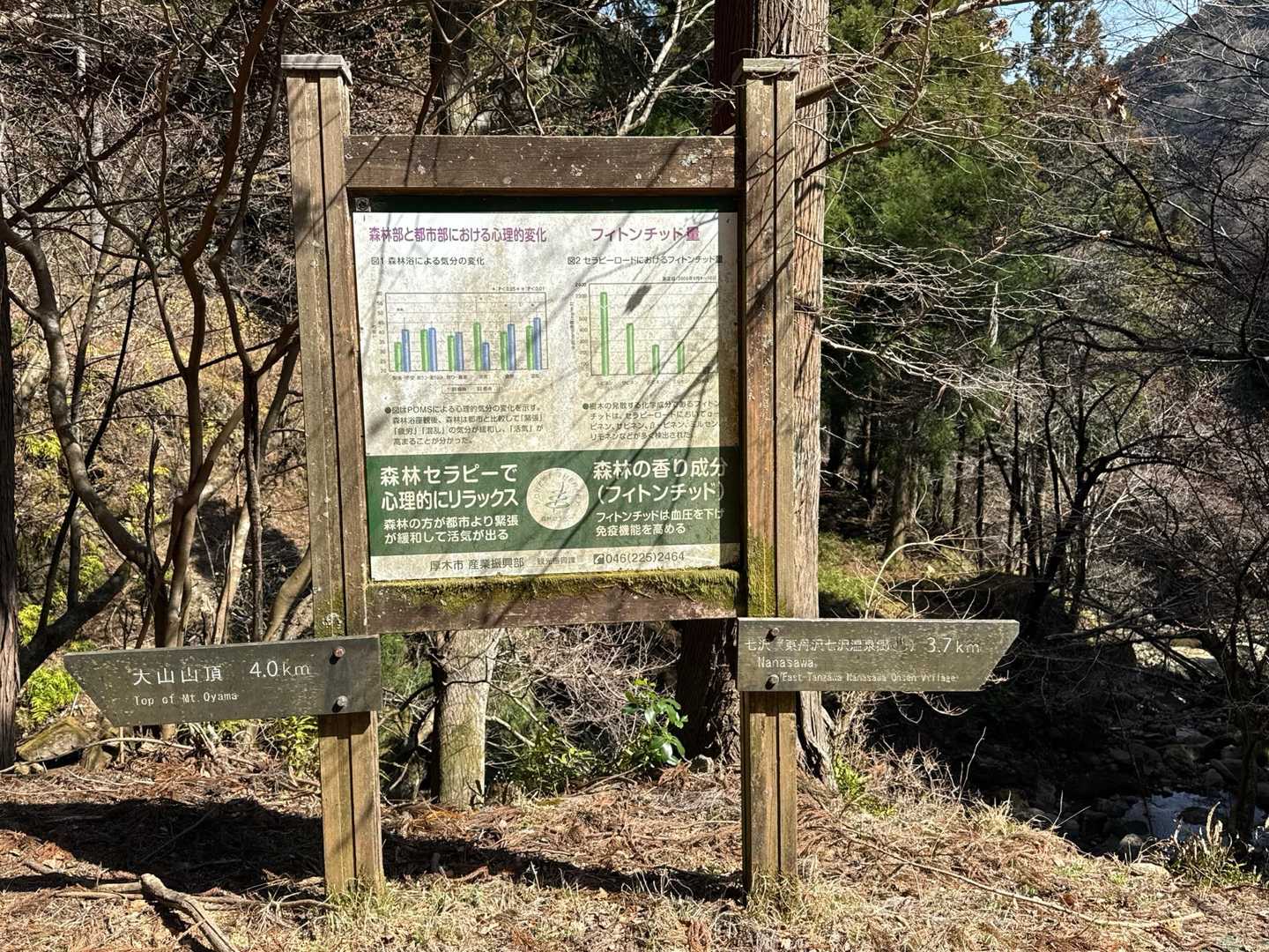 ここから4kmで大山山頂・・・むり