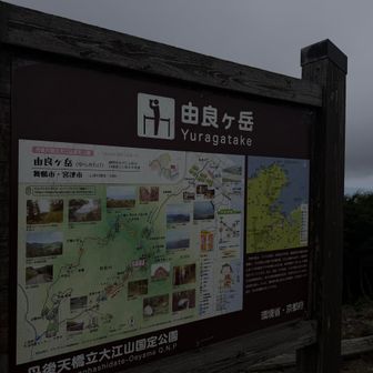 違ったコース・季節にまた尋ねたいね
🌸紅花ヤマシャクヤクも咲くようで