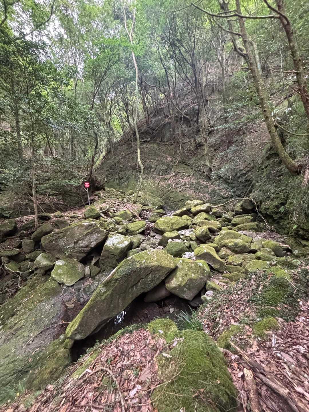 百間山 周回コースの写真