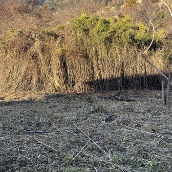 景色が見やすくなりました。
ありがとうございます😊