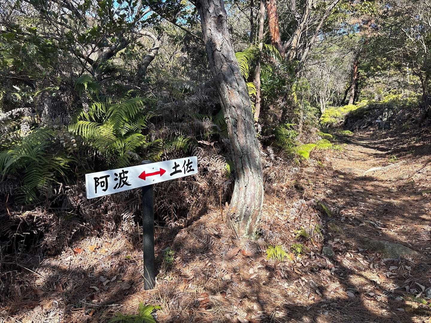 四国❓
88カ所巡りにちなんでるのかな