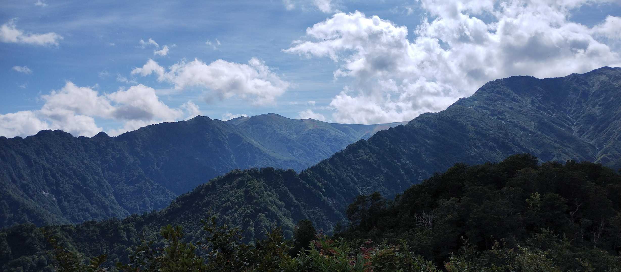 湯沢峰
時間もあるのでゆっくり休憩。本山見えた😄