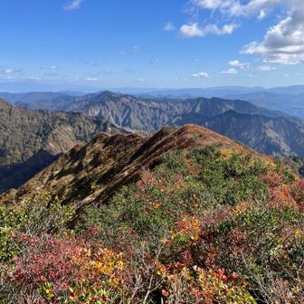 清々しい空気が流れる場所