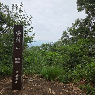 到着😏