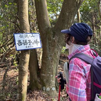 吾孫子の峰に周り道しました