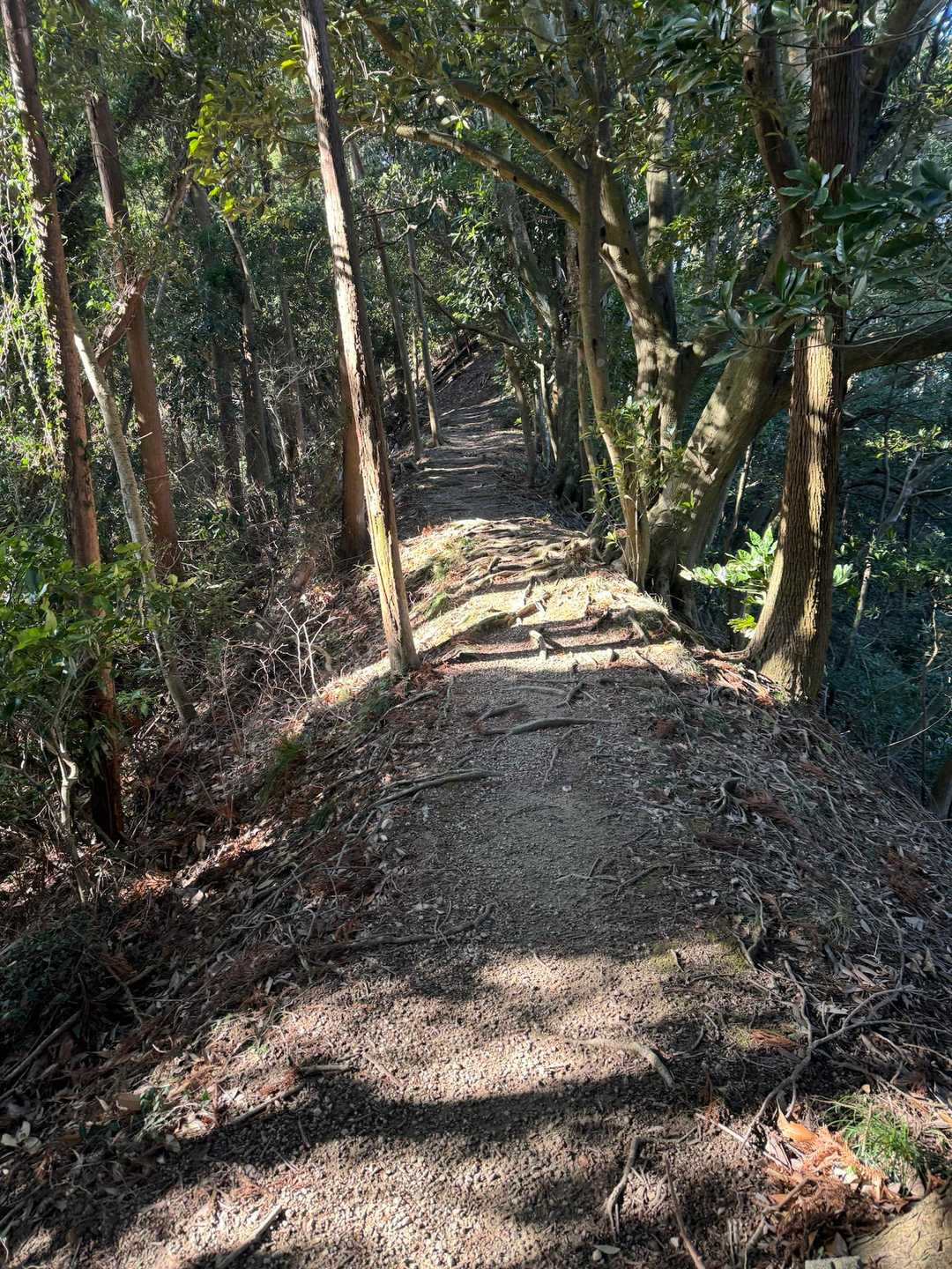 千葉の低山ならではの尾根道
