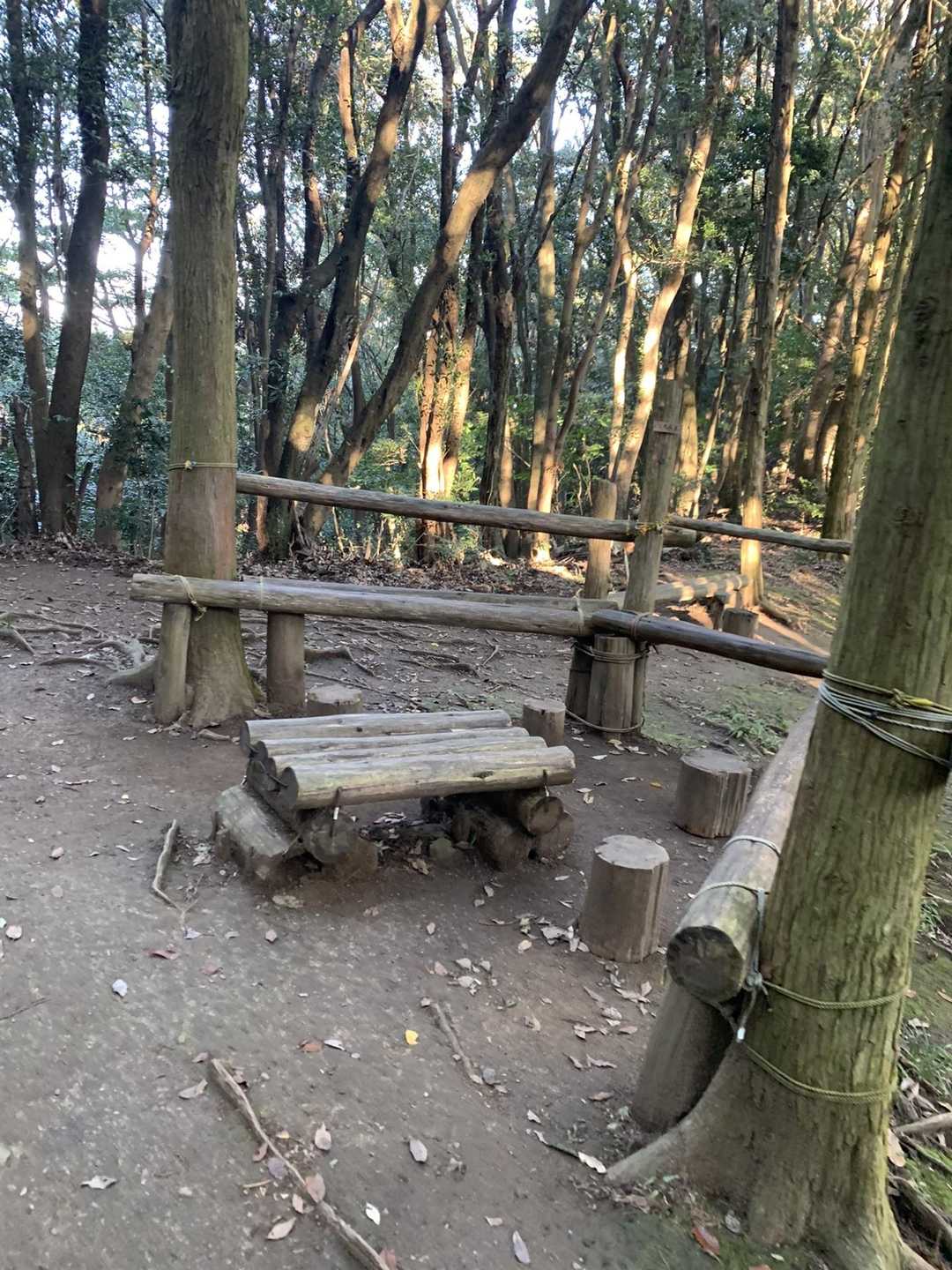 三角茶屋　　⚠️⚠️⚠️⚠️次の写真は
🐍‼️