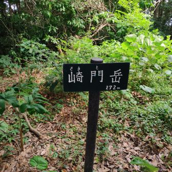 崎門岳
