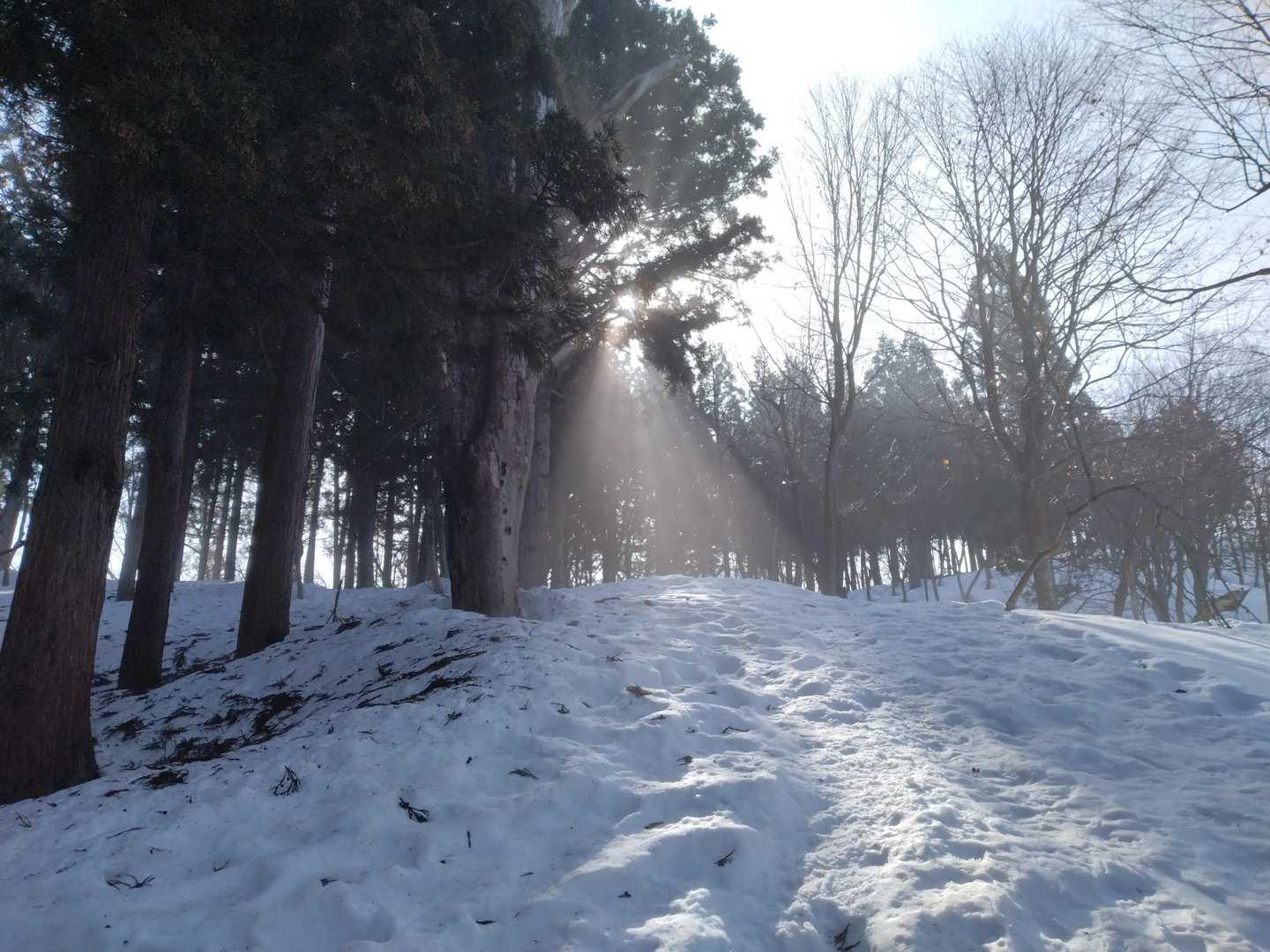 濃霧が晴れてきてキレイ✨