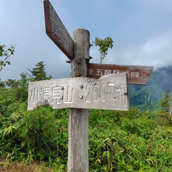 小遠見
五竜岳登山口からここまではハイキングコースらしく、人で賑わっていました。