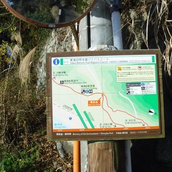 バイパスコースの標識も有り