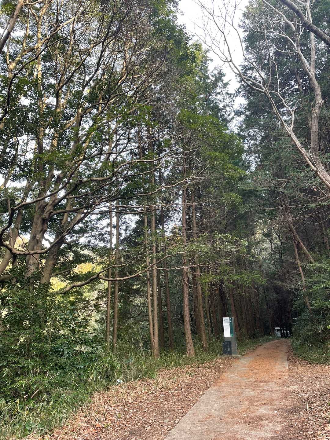 宮田登山口-六ヶ岳 往復コースの写真