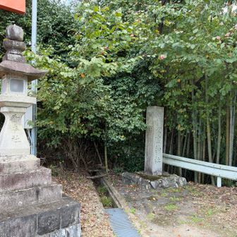 大鳥居前に到着😄ゴールです
これから龍泉寺に向かいます👍