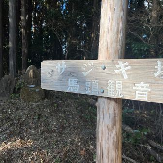 YAMAPに載ってなかったサジキ塚 寄り道した