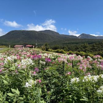 九重連山方面