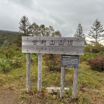 雨を気にして写真を撮り忘れ，降りかけて戻る😅