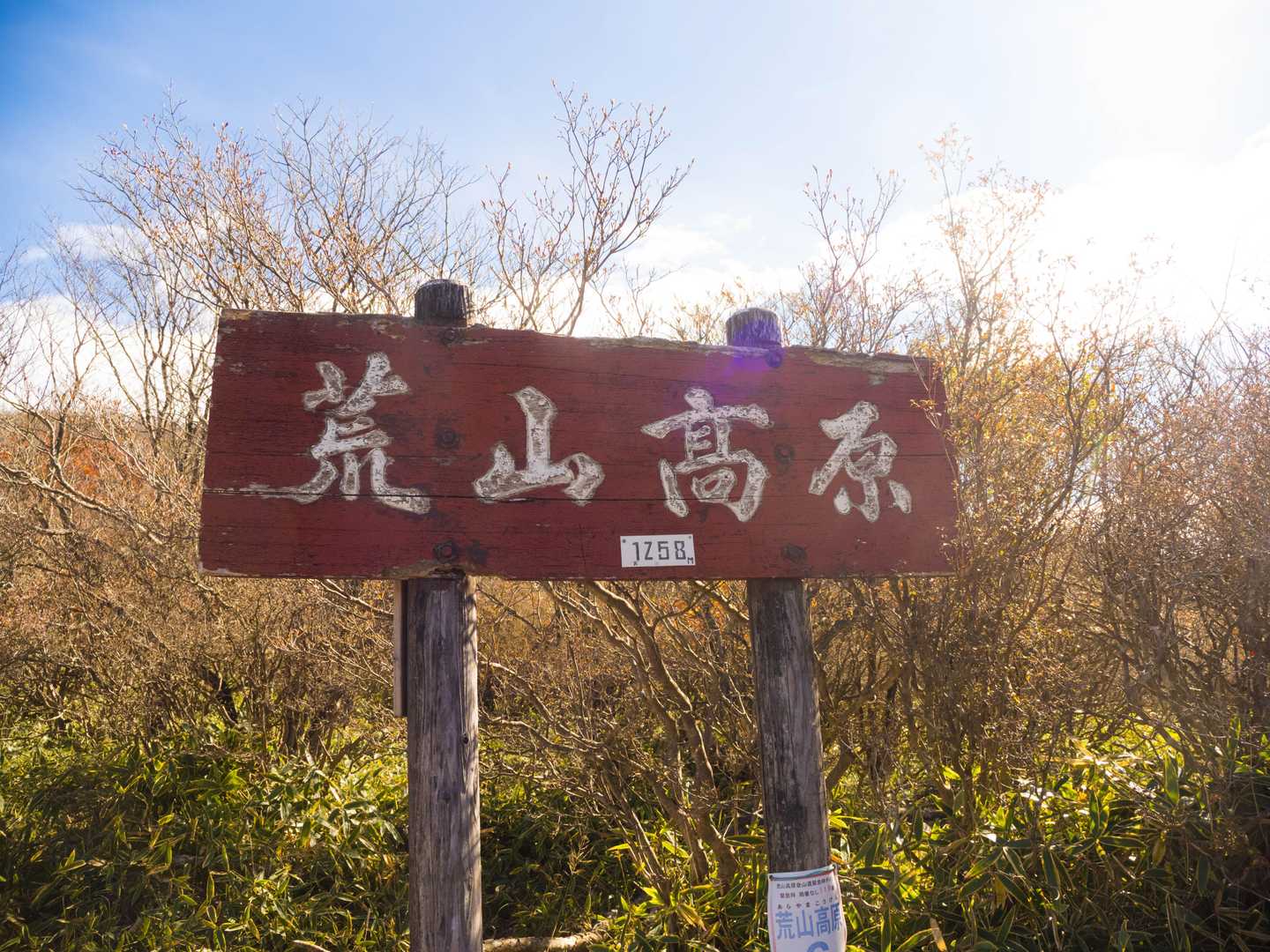 荒山高原に着きました。青空です