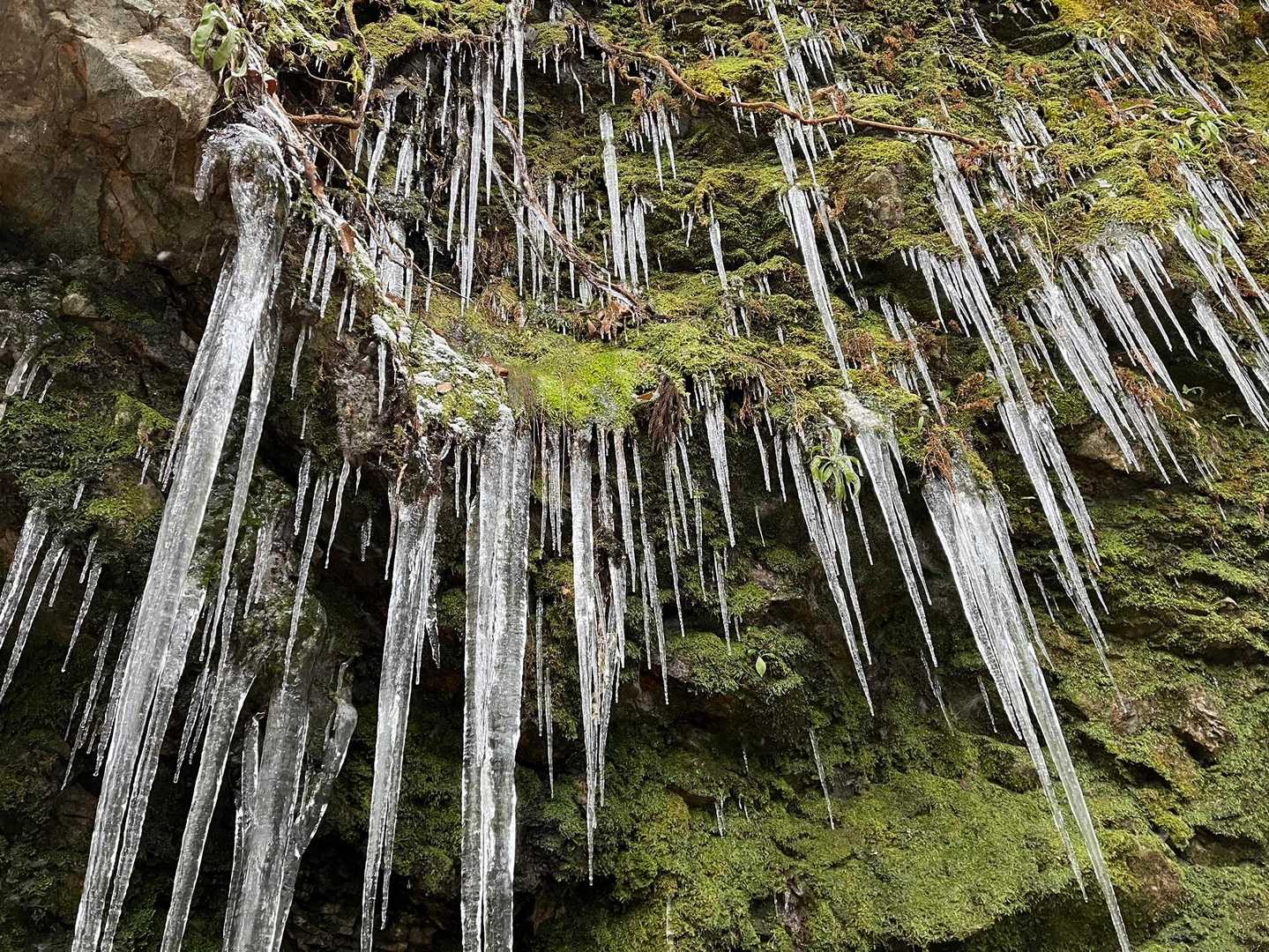 本城山 往復コースの写真