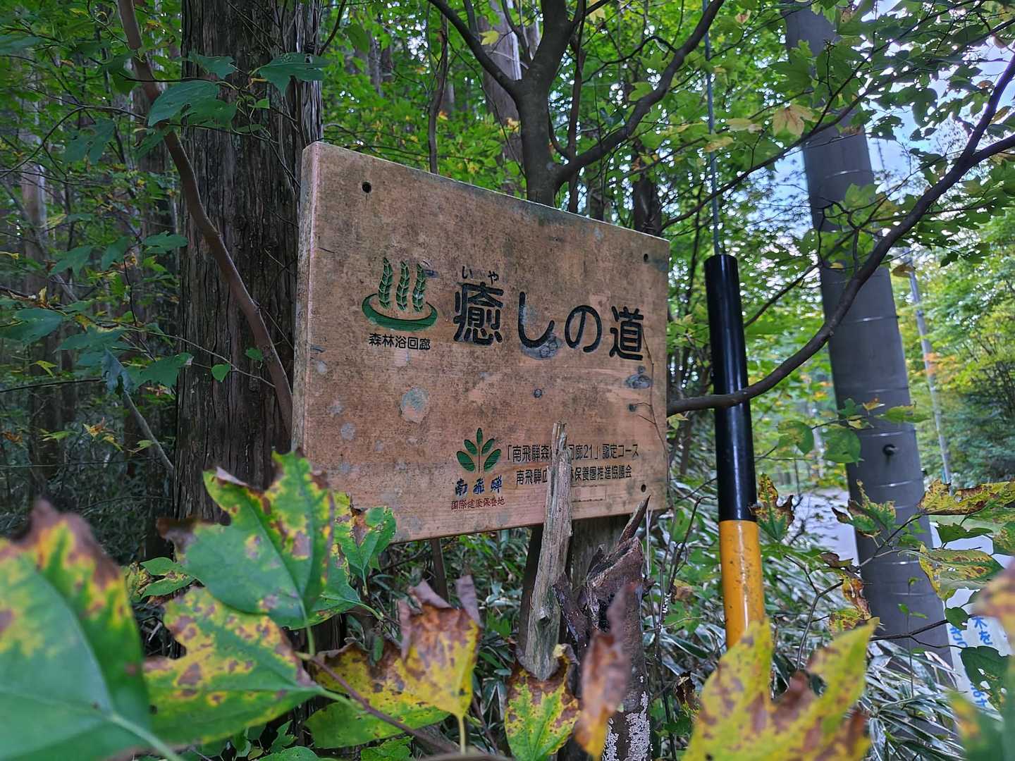 癒やされましょう😌