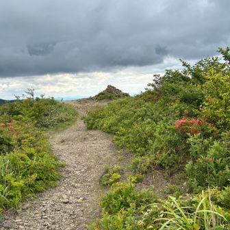 こんな登山道