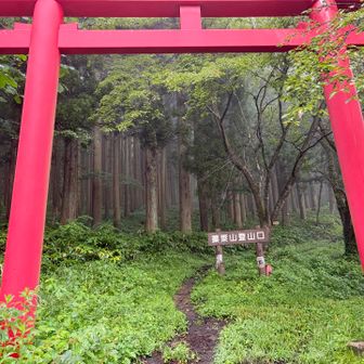 2つ目の鳥居。ここが登山口。
