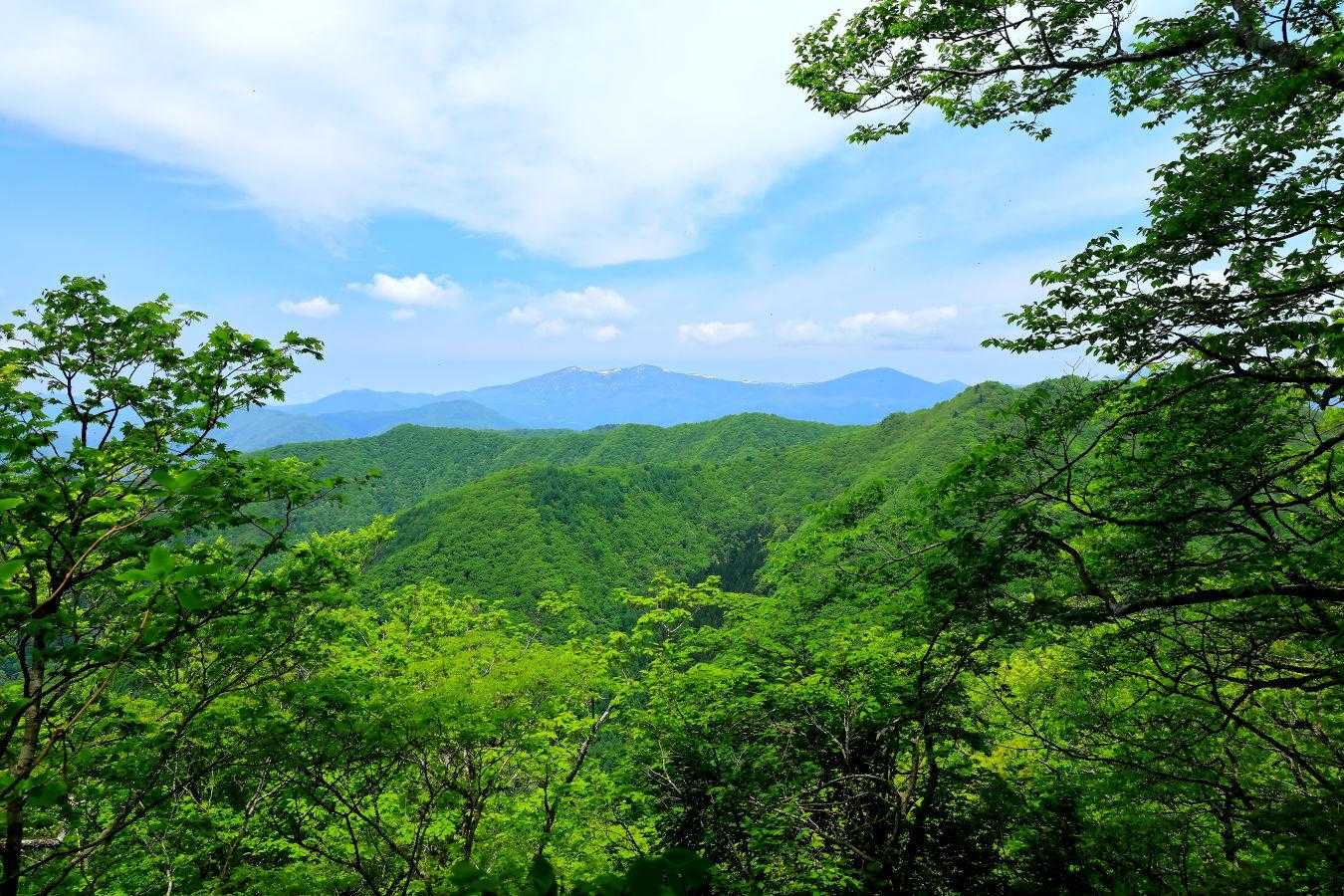 川桁山登山道入口-川桁山 周回コースの写真