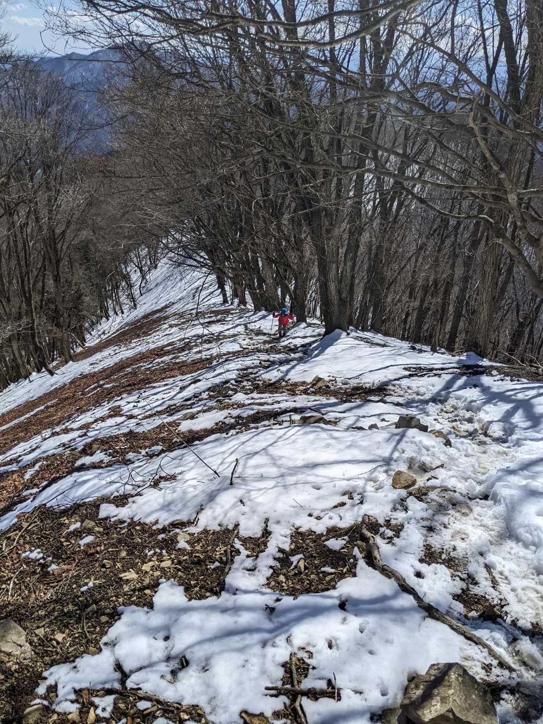 雪と土混じりの尾根を歩きます