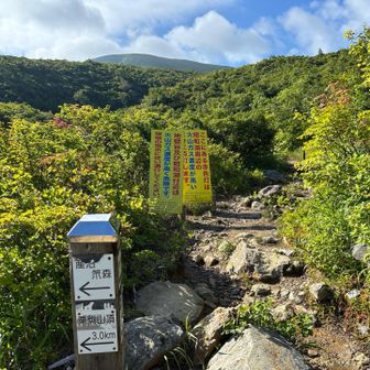 分岐を右の昭和湖方面へ↗️