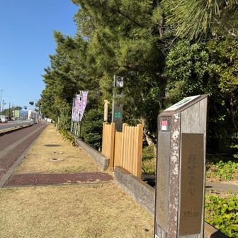 いつもは観光客でいっぱいやから、初めての花の窟にワクワク😍