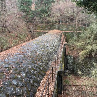 山中湖から水を引いているらしい