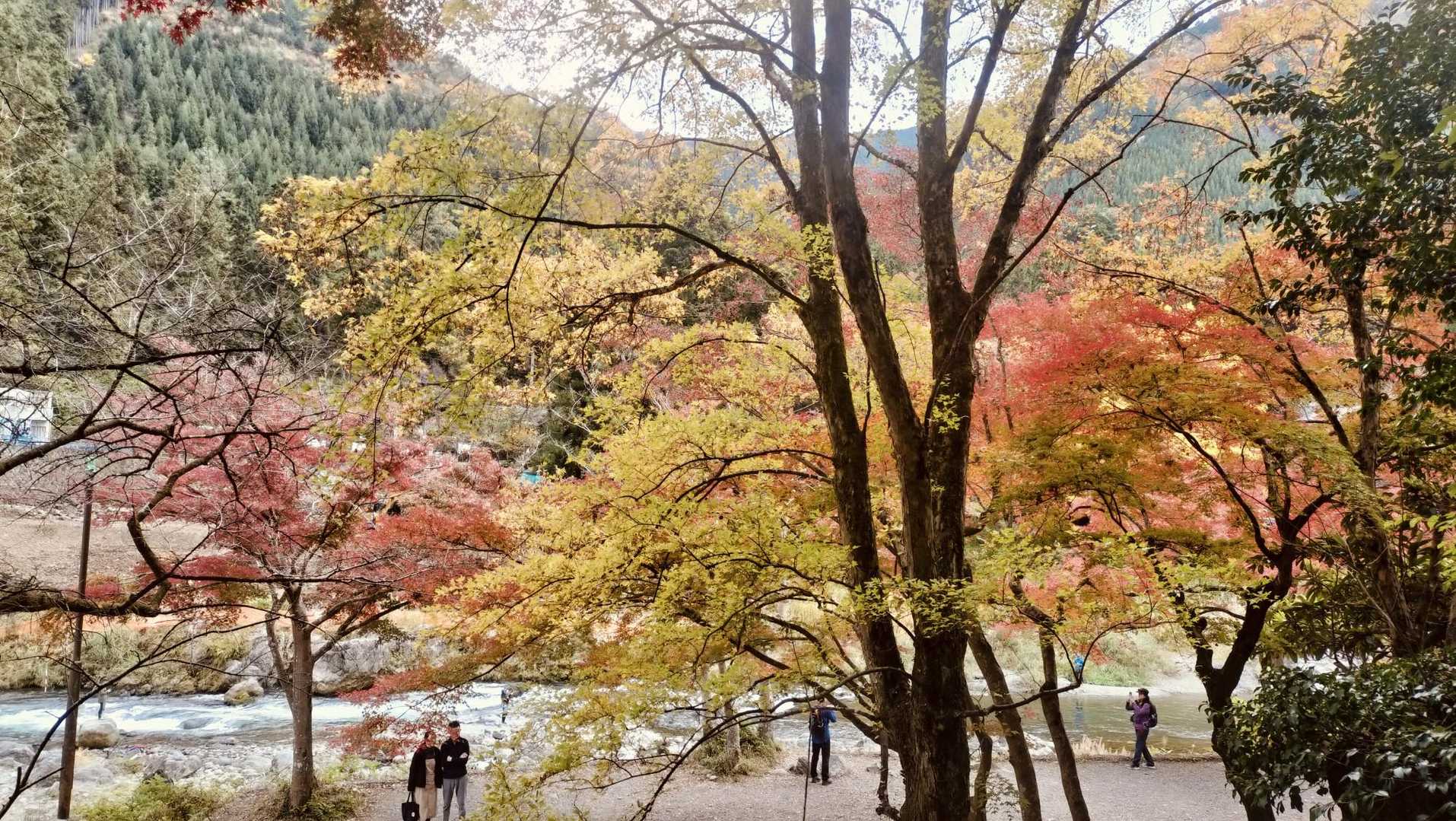 せっかくなので御岳渓谷を散策