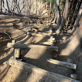 木の階段も壊れてて、危ない😰