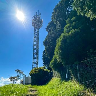 電波塔📡がピークです