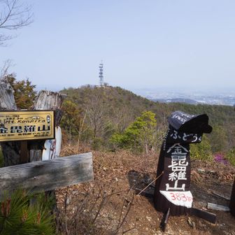 向こうの鉄塔が明王山
あちら側にいらっしゃるお姉さま方の賑やかな声が聞こえてきます
こちら側はトレランの方が現れたと思ったら秒で消えて私1人