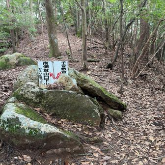 帰りは南側登山口方面へ降りていきます