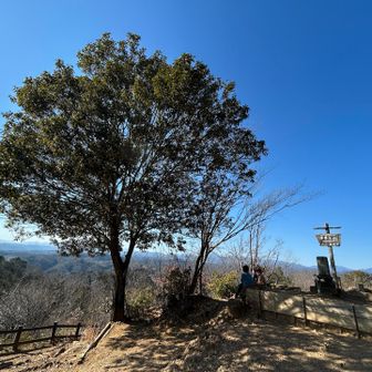 展望の良い山頂。アラカシが多い。
