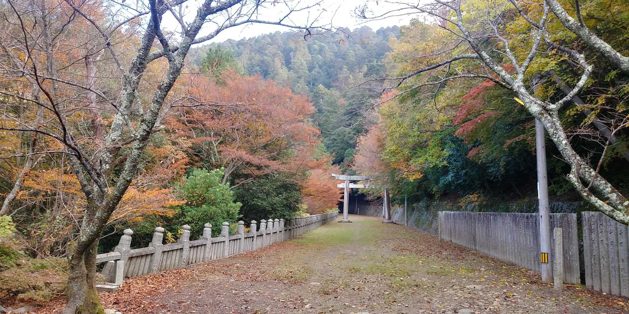 広ぉ～い参道