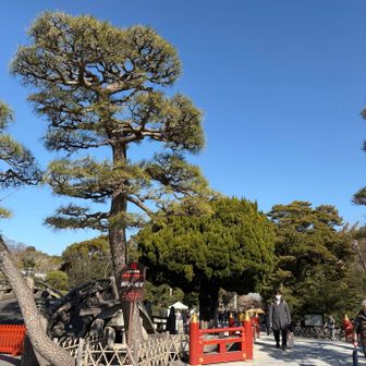 入り口まできました