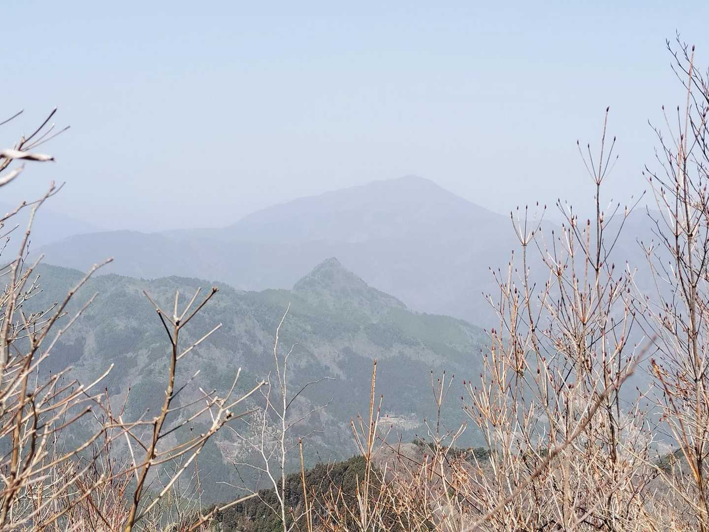 国見山かな