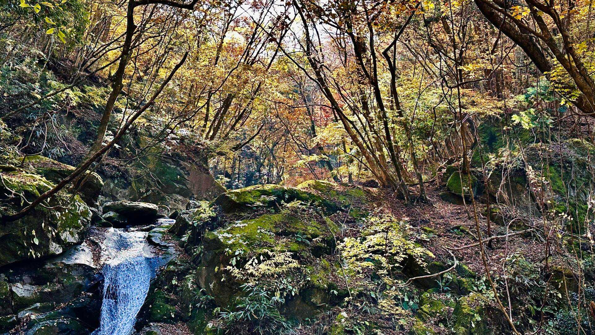 【神原（こうばる）渓谷】日本百名山・祖母山の山懐を流れる渓谷沿いの山歩道の写真