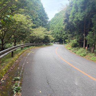 やっと車道へ
蜘蛛の巣からの開放感がハンパない😃