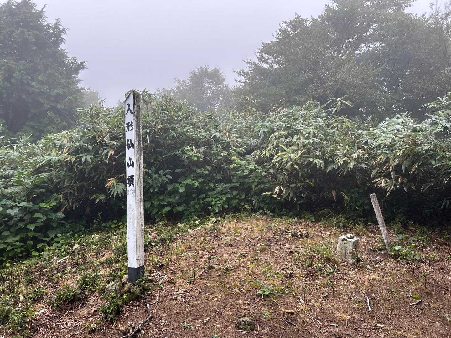 人形仙到着