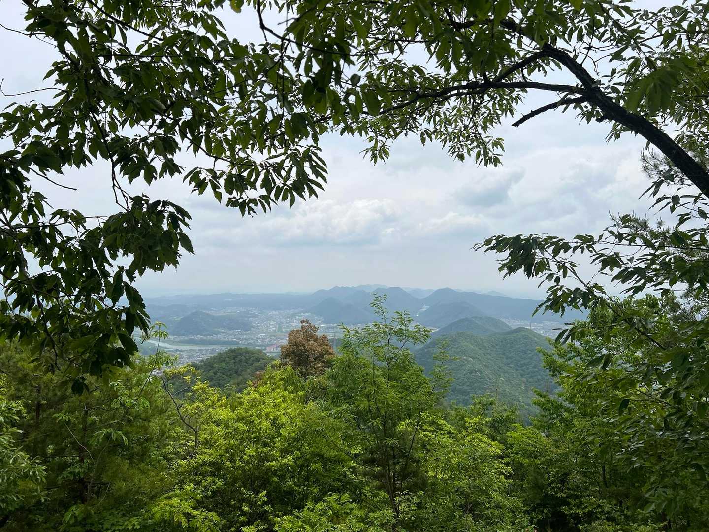 散策の森広場-白山展望広場-百々ヶ峰 往復コースの写真